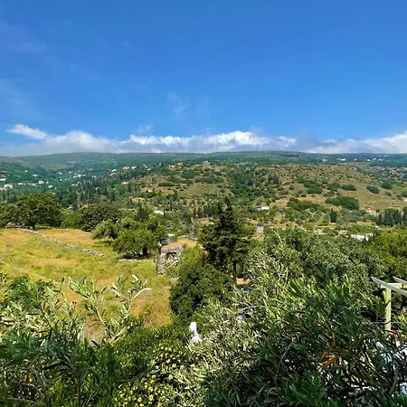 Afroessa Mesaria (Andros)